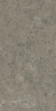 Керамогранит Atlas Concorde Italy AJH0 Marvel Meraviglia Grigio Elegante Lapp. 75x150