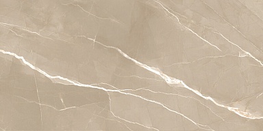 Керамогранит New Trend 60120ESE21P Essential Marron полированный 600x1200x7