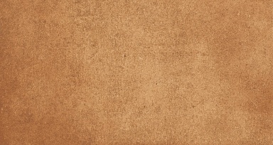 Подступенник Gresmanc Loseta Gobi 310x150x14
