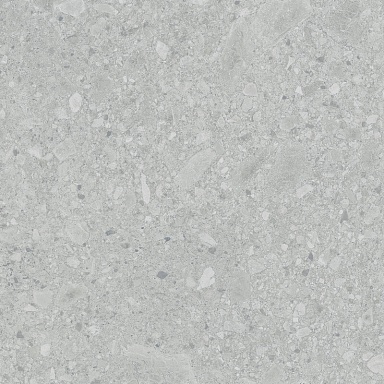 Керамогранит LB-Ceramics 6461-0425 Иней Tech Серый 60х60