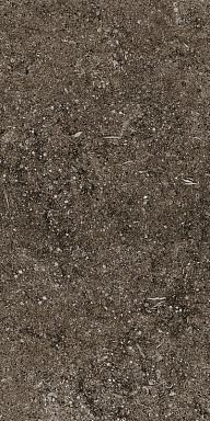 Керамогранит Casa Dolce Casa 768354 Sensi Brown Fossil R+PTV Ret 40x80