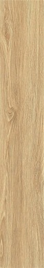 Керамогранит Bonaparte ZC 1223098 rect. 20x120