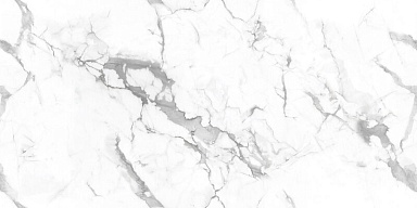 Керамогранит NT Ceramic NTT99507P Callacata Endless 60x120