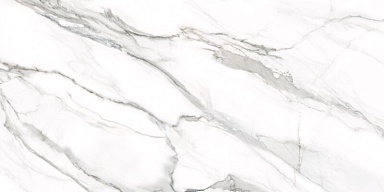 Керамогранит Delacora D12053M Omega Silver 1200x600x9.5