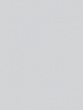 Плитка RAKO WAAKB012 CONCEPT Plus Light Grey 25x33