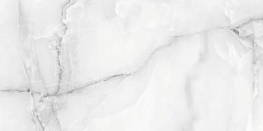 Керамогранит Absolut Gres AB 1182G Snow Onix Grey Gloss 1200x600