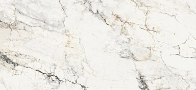 Керамогранит La Faenza AE PAO6 260 LP 120x260