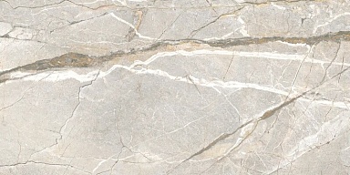 Керамогранит Flaviker PF60017241 Supreme Hedonism Silver Roots Lux 3D R 60x120