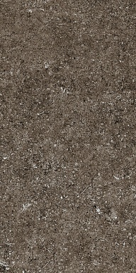 Керамогранит Casa Dolce Casa 768354 Sensi Brown Fossil R+PTV Ret 40x80