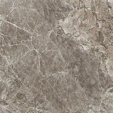 Керамогранит ProGRES Ceramica NR0386-M Тасос Коричневый матовый 600x600x9.5