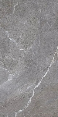 Керамогранит LB-Ceramics 6493-0147 Гроза серый 60х120