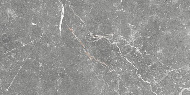 Плитка Global Tile GT99VG Capella Серый 50x25