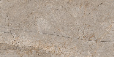 Керамогранит Cersanit 17124 Silver Roots серый матовый ректификат 60x120