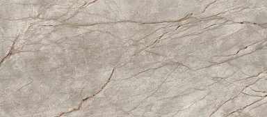 Керамогранит Атлас Конкорд Россия 600180000015 Empire Silver Root Lapp 120x278