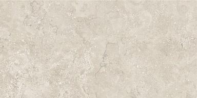 Керамогранит NT Ceramic NTT9453M Zeus Taupe Mat 60x120