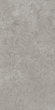 Керамогранит Kerama Marazzi DD590600R Про Лаймстоун АТ серый натуральный обрезной R10 119,5х238,5