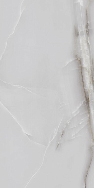 Керамогранит Arcadia Ceramica FP1025-A Onyx Line Grey Full Polished 60x120