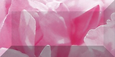Laparet Бордюр рельефный Peony br1020D281-1 20х10