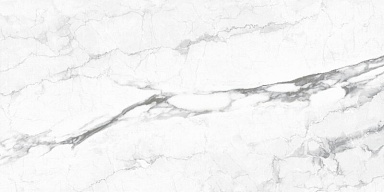 Керамогранит Pardis Ceramic Pazh 246738 Carlo Polished 80x160