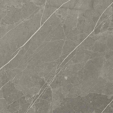 Керамогранит BELLEZA RS 1002 Grey Carving 60х60
