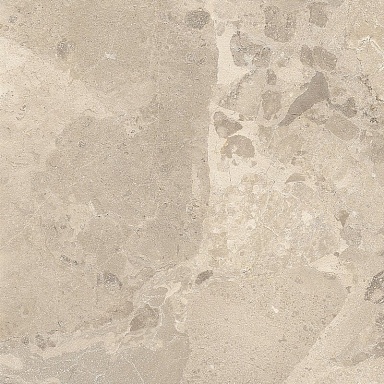 Керамогранит Imola Ceramica CR BIT R60TO RM 60x60