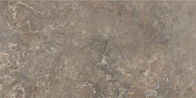 Керамогранит NT Ceramic NTT9450S Pietra Brown Struttura 60x120