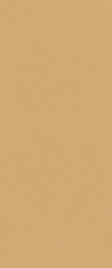 Плитка FAP Ceramiche fTDS True Color Caramel Matt RT 50x120