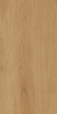 Керамогранит Protiles PT12F7041 Albero Beige Matt 1200х600х9