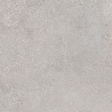 Керамогранит LB-Ceramics 6246-0113 Трэверс светло-серый 45х45