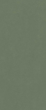 Плитка Italon 600010002445 Серфейс Форест Грин Рет 50x120