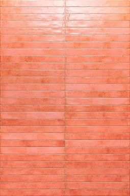 Керамогранит Sadon J92080 Colors Salmon 4,8x45