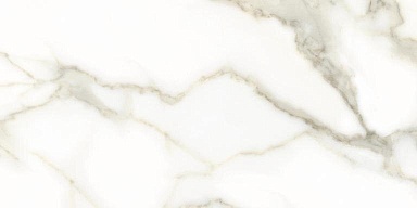 Керамогранит Pieza Ceramica CR006012N Carrara White 60х120