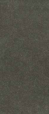 Керамогранит Casa Dolce Casa 785573 Rinascenza Arena Platino Matte 6mm 120x280