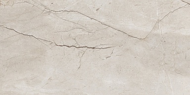 Керамогранит A-Ceramica Eco 6536 Polished 60x120