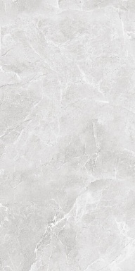Керамогранит BELLEZA Cr Ambition Silver Carving 60х120