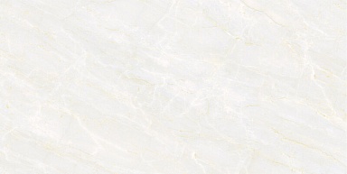 Керамогранит Pardis Ceramic Pazh 246536 Estonia Polished 80x160