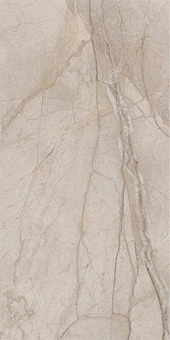 Керамогранит Italon 610010002835 Stellaris Elegant Silver Nat Ret 60x120