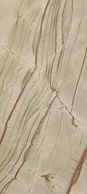Керамогранит Casa Dolce Casa 774646 Nature Mood Rainforest Comfort 80x180