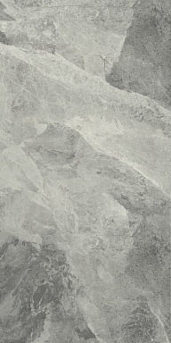 Керамогранит Italon 610010001196 Charme Extra Silver Nat Ret 60x120