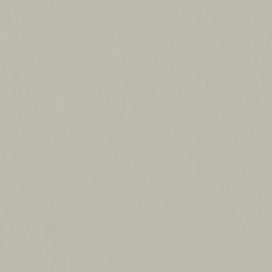 Керамогранит Italon 610010004198 Forum Slim Silver Ret 120x120