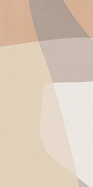Керамогранит Del Conca GCBESHARGIR HBE Bioterre Shapes Argilla Rett 60x120
