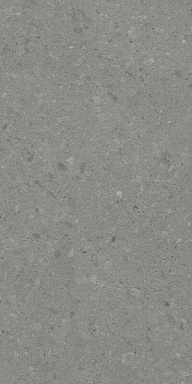 Керамогранит Kerama Marazzi DD591500R Чеппо ди Гре серый тёмный матовый обрезной 119,5x238,5x1,1