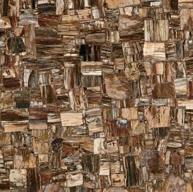 Керамогранит Marmocer MC-SP10 Petrified Wood (Party) (Compound With Granit) 100x100
