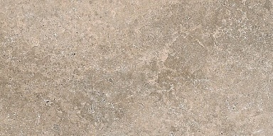 Керамогранит Stiles Ceramic Maxford Taupe 60x120