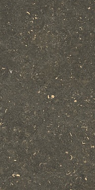Керамогранит Casa Dolce Casa 785503 Rinascenza Arena Platino Grip 30x60