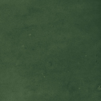 Керамогранит Harmony 43289 Samira Green 10x10