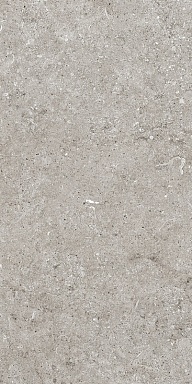 Керамогранит Casa Dolce Casa 768342 Sensi Grey Fossil Ret 40x80