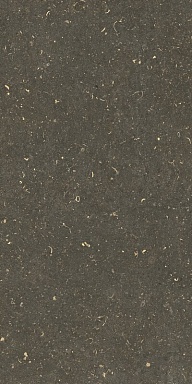 Керамогранит Casa Dolce Casa 785511 Rinascenza Arena Platino Grip 20mm 60x120