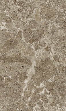 Плитка Gracia Ceramica Saloni brown 02 30*50