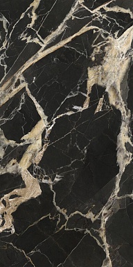 Керамогранит La Fabbrica Ceramiche 276101 Black Gold Nat Ret 60x120